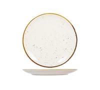 Saturnia set 6 piatti piani Stains cm 28