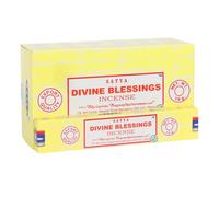 SatyaDivine Blessings Bastoncini d'Incenso Misura Confezione 120 (SD4699)