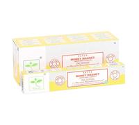 SatyaMoney Magnet Earth Bastoncini d'Incenso Misura Confezione 6 (SD6918)
