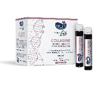 Sauber Pharma Sauber SystemLife Collagene Integratore di Collagene Antietà 10 Flaconcini