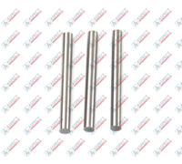 Sauer-Danfoss BRL100 ERR100 ERL100 Pin pressa blocco cilindro 1700384 Set di ...