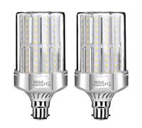SAUGLAE Lampadine LED da 32W, 260W Lampadine a Incandescenza Equivalenti, Bianco Caldo 3000K, 3600Lm, B22 Baionetta, 2 Pezzi