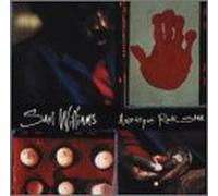 Saul Williams - Amethyst Rock Star