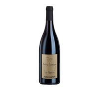 Saumur Champigny 'La Paterne' Antoine Sanzay 2021