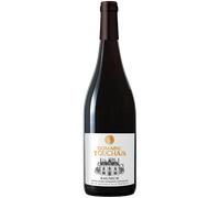 Saumur Rouge 2024 - Domaine Touchais Saumur