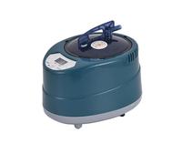 Sauna a vapore, neratore di e for sauna da 1000 W, neratore di e dimagrante for body building for alleviare l'insonnia, macchina for fumigazione portatile for spa domestica per sauna spa domestica