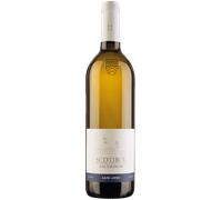 Sauvignon 2025 - Cantina Muri Gries