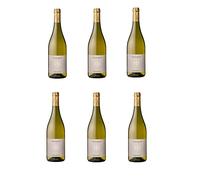 Sauvignon Alto Adige Doc - 2020 - Cantina di Termeno - Tramin - 6 bottiglie da 0,750 l