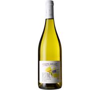 Sauvignon Blanc - Destinea 2025 - Joseph Mellot Val de Loire