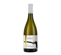 Sauvignon Blanc 'Suòlo' Duca di Salaparuta 2021