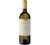 Sauvignon Blanc Vigna Castel Ringberg Alto Adige DOC - Elena Walch 2023