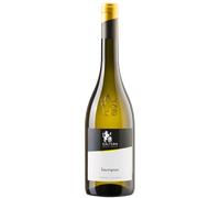 Sauvignon Blanco 2025 - Cantina Kaltern Alto Adige