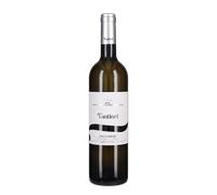 Sauvignon 'Borgo Tesis' Fantinel 2025