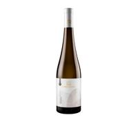 Sauvignon Colli Orientali del Friuli DOC 2024 - Torre Rosazza 0.75 lt