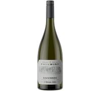 Alto Adige DOC Sauvignon Fallwind 2021 St. Michael Eppan - Vini