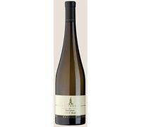 Sauvignon Gfillhof - 2022 - cantina S. Paolo