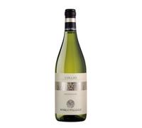 Sauvignon Marco Felluga 2025