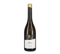 Sauvignon 'Stern' Cantina di Caldaro Kaltern 2025