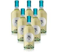 Sauvignon"SUADE" IGT Astoria (6 bottiglie 75 cl.)