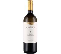 Sauvignon 'Vigna Castel Ringberg' 2023 - Elena Walch