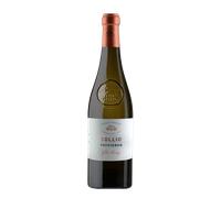 Sauvignon Villa Folini 2025