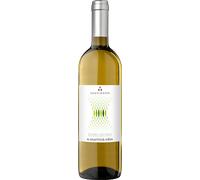 Sauvignon Weinberg Dolomiten 2023 - K. Martini & Sohn