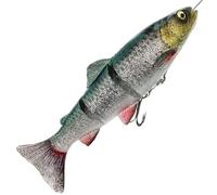 Savage Gear 4D Line Thru Trout - Pesce di gomma in 4D, colore: Verde Argento, lunghezza/peso/comportamento di galleggiamento: 25 cm / 180 g / affondo lento