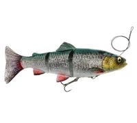 Savage Gear 4D Line Thru Trout SS 20cm 93g Esche Morbide COLORI