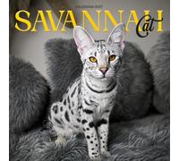 Savannah Cat Calendar 2027: Spotted Coats and Tall Ears