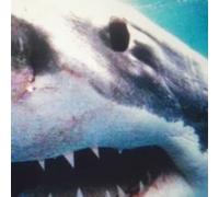 Savas/ Sido - Royal Bunker