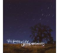 Saves The Day - Under The Boards (2 LP)