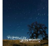 Saves the Day Under The Boards