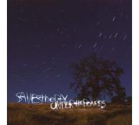 Saves the Day Under The Boards (Vinyl LP)