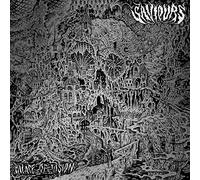 Saviours - Palace Of Vision