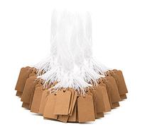 SAVITA 500 Pezzi Etichette di Cartone Tag Regalo Etichette Tag Kraft con Stringa Regalo Marroni per Abbigliamento da Sposa Gioielli Artigianali per Regali (1.5x2.6 cm)