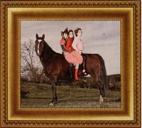 Sawoff Shotgun - For Our Sanity