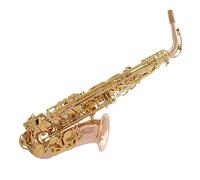 Sax Professionale Per Sassofono Contralto In Mi Bemolle A Doppia Costola Con Corpo In Bronzo Fosforoso Con Un Set Completo Di Accessori Sassofono per principianti Kit
