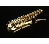 Saxo Alto Harlem as-200 Nuovo. con astuccio anatomico Leggero Tipo zaino E accessori. Il miglior Saxo per Principianti