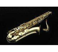 Saxo tenore Harlem TS-100 Nuovo. con astuccio Leggero Tipo zaino, boccaglio, accessori. spedizione gratuita.
