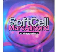 Say Hello Wave Goodbye