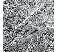 Say She She Silver (CD) Album