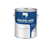 SAYERLACK Impregnante All'Acqua per Legno, Trasparente, per Interno ed Esterno, Serie HYDROPLUS AM0549/00, 6 Litri
