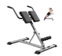 SAYEYBU Panca Multifunzione Sedia Romana, Allenamento Estensione della Schiena con Inclinazione Regolabile, Supporto Vita per Palestra Domestica, Attrezzo Esercizi per Tutto Corpo,Grigio