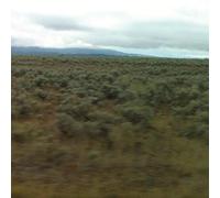 Says Caroline - 50,000,000 Elvis Fans Can T Be Wrong