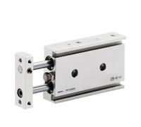 SBSSYVLMV Cilindro Pneumatico TR16 TR20 TR25 TR32 Serie TR Cilindro a Doppio Stelo Cilindro Pneumatico Cilindro Pneumatico Corsa 10-200 mm con Magnete(Stroke125mm Magnetic,TR25)