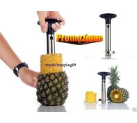 SBUCCIA TAGLIA AFFETTA ANANAS IN ACCIAIO SBUCCIANANAS TORSOLO