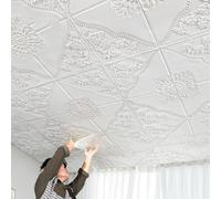 Sbucciare e attaccare le mattonelle del soffitto, pannelli di goccia sospesi per una facile installazione in cucine, ospedali e ristoranti