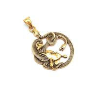 SBZIOJHDR collana, Collana con Medusa e Gorgone della mitologia greca - Acciaio inossidabile, stile vintage punk, intricato serpente(Gold)
