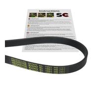 SC Solocorreas Cinghia asciugatrice EL 1991 H8