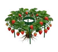 Scaffale da arrampicata per piante rampicanti - Strumenti da giardino in piedi extra resistenti,Supporto per il pomodoro da giardino,Adatto per Giardinaggio Piante Ortaggi All'aperto Frutteto Balcone
